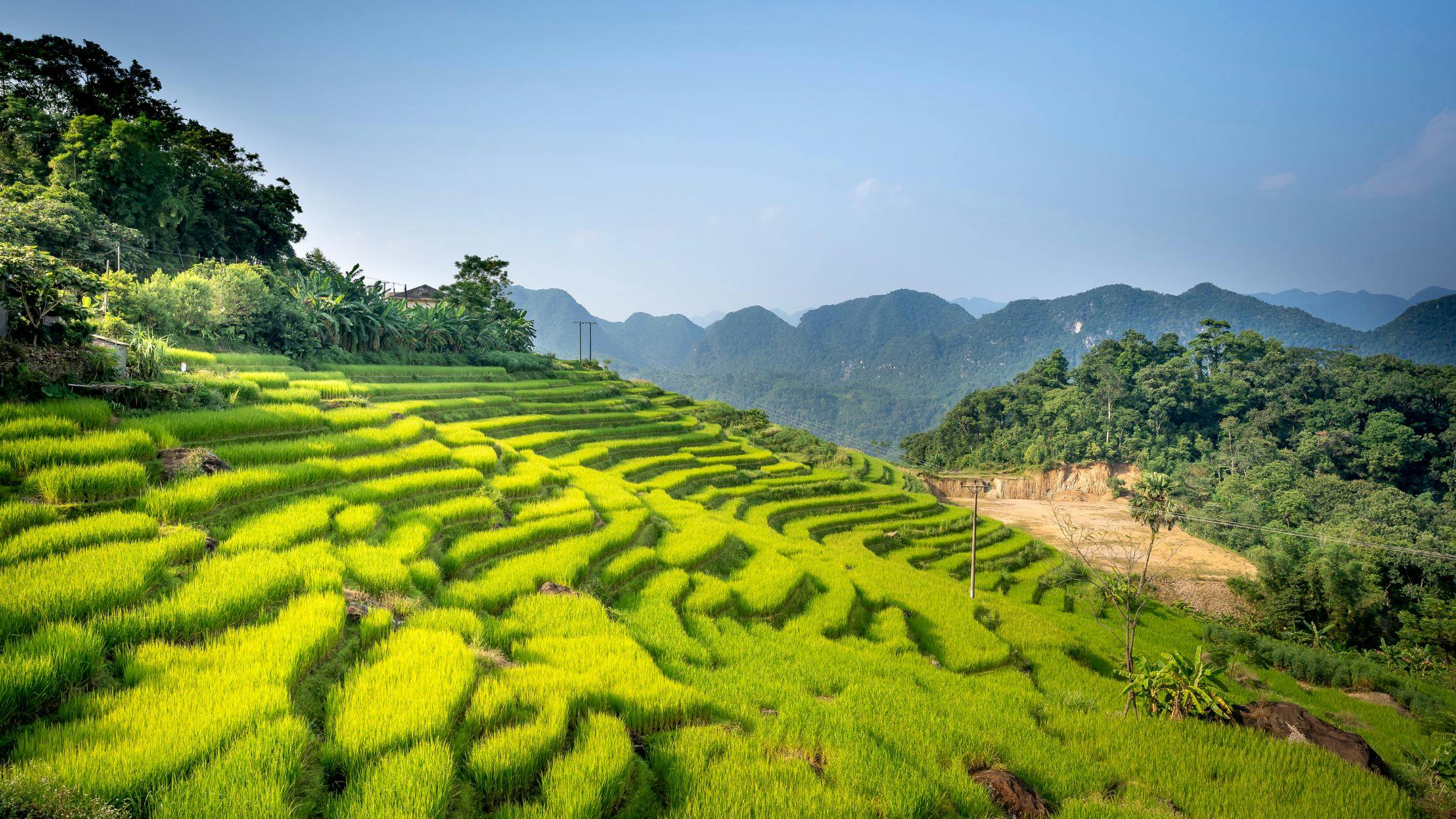 Pu Luong Nature Reserve – Rice Terraces without Crowds